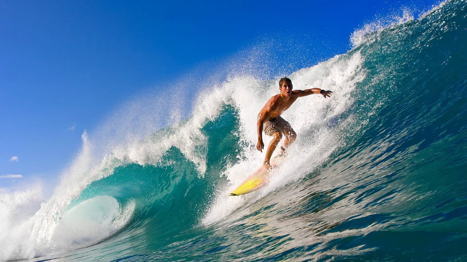 球员转会争议案仲裁结果出炉,行业关注度高,球员转会是怎么操作的