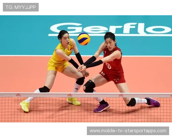 柔道队通过内部赛制确定阶段主力阵容