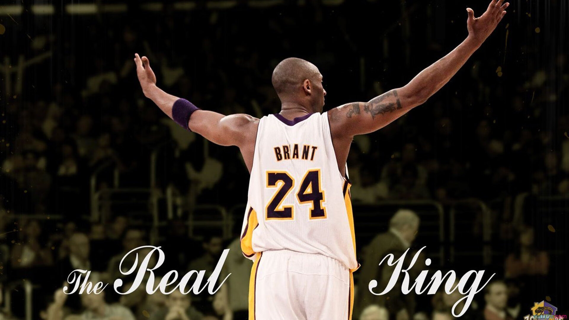 社区治理:平台加强举报体系以净化直播间氛围,举报 社区